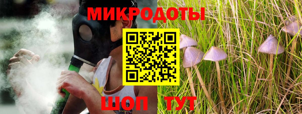 Галлюциногенные грибы Psilocybine cubensis Ангарск